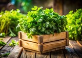Eco Market Parsley Crate Portrait Photography - Fresh Herbs, Sustainable Farming, Polish Market