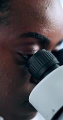 Aufkleber - Black woman, scientist or research with microscope at lab for exam, medical discovery or forensic results. Female person, health worker or biologist with technology for microscopic test or science