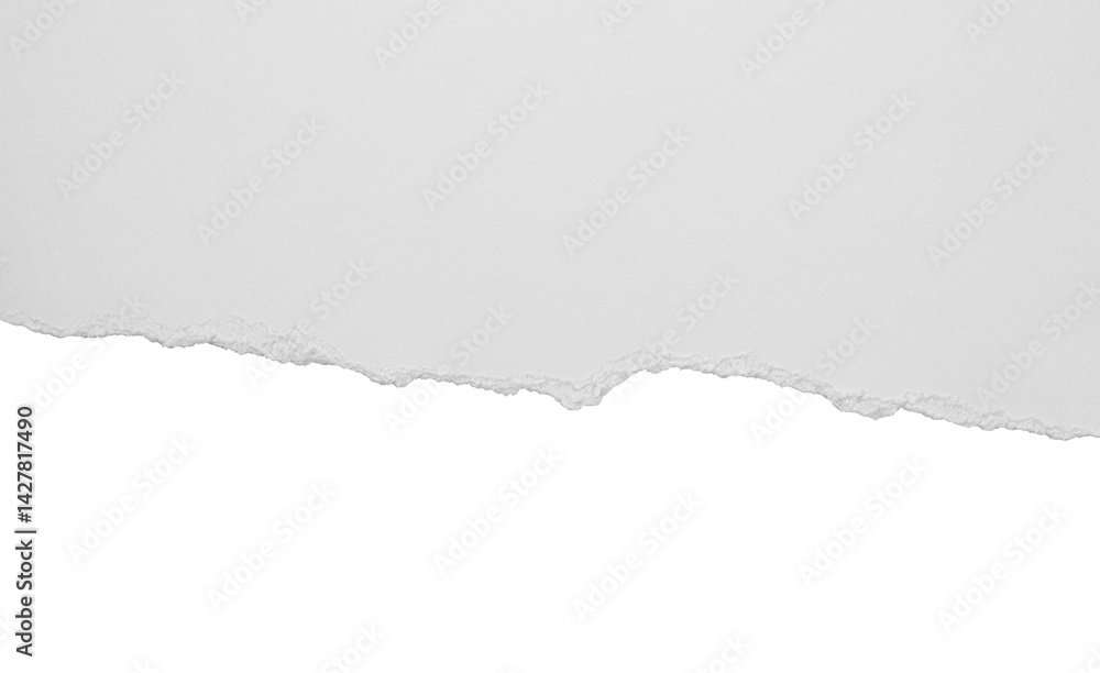 torn blank pages with uneven texture edges. set of ripped white paper ...
