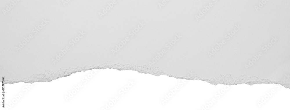 torn blank pages with uneven texture edges. set of ripped white paper ...