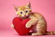 © Giuseppe Cammino - Ginger kitten hugging toy red heart. Cute cat on pink background. Valentine's Day love concept. Banner, advertisement, billboard for animal shelter, veterinary clinic