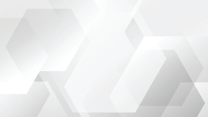 Wall Mural - white abstract hexagonal background business banner vector design