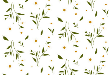 Wall Mural - floral pattern with hand-drawn daisy flowers