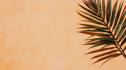Poster - Tropical leaf casting shadow on warm sand in minimalist photography