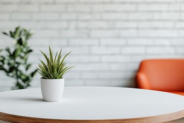 Poster - Minimalist white tabletop showcasing a small potted plant in a blurred coworking space