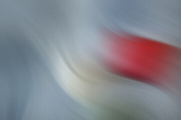 Wall Mural - a white tulip and a red tulip standing side by side against a textured gray blue background surface 