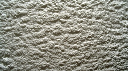 Wall Mural - plaster wall with subtle shadow and texture