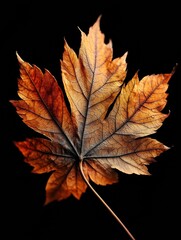 Aufkleber - Close-up View of a Dry Autumn Leaf Showcasing Intricate Edges and Cracks Highlighting Seasonal Transformation in Nature