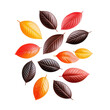 © Rattanathip - collection of colorful autumn leaves arranged in circular pattern, showcasing vibrant shades of red, orange, yellow, and brown, creating harmonious and seasonal display