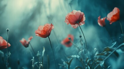 Wall Mural - field of red poppies with dreamy blue-toned background