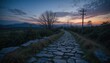 © Kitta Studio - Serene Twilight on a Cobblestone Pathway Through Nature's Landscape