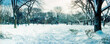© Michael Marquand - Panoramic snow covered park, Lower East Side, Manhattan, New York City, New York State, USA.
