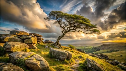 Wall Mural - majestic windswept tree on a hilltop at sunset with rolling hills and dramatic clouds