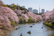 © Matteo Colombo - Chidorgafuchi moat during cherry blossom and city skyline, Tokyo, Japan