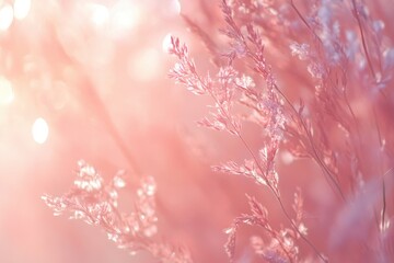 Aufkleber - Pink Grass Meadow at Sunset Soft Light Delicate Floral Background