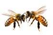 © Sariful - two bees isolated on transparent background.