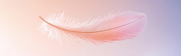 Leinwandbilder - Soft silhouette of a feather falling in pastel pink and purple gradient with airy, minimalist design for backgrounds and concepts