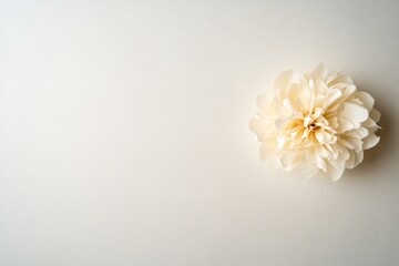 Aufkleber - Delicate pressed peony flower rests on textured handmade paper, showcasing intricate petal details and subtle shadows, with space for text on the right