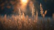 © Rizvan - Abstract autumn landscape featuring tall grass and reed textures with a soft, natural background