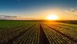 © Pastel - A serene landscape featuring rows of crops under a vibrant sunset, highlighting the beauty of agriculture and nature.