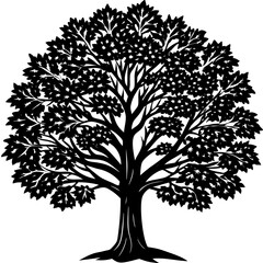 teak tree