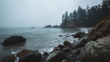 Moody seascape view with rocky shoreline under an overcast sky showcasing the natural beauty of the pacific coast on a serene and peaceful day at the ocean.