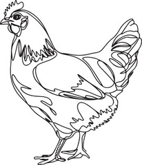 Wall Mural - minimalist hen illustration in black continuous line drawing style showing a standing chicken isolat