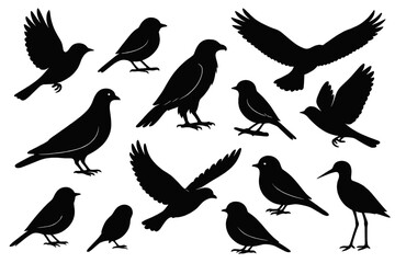 Poster - Collection of various bird silhouettes suitable for design and decorative purposes in a minimalist style