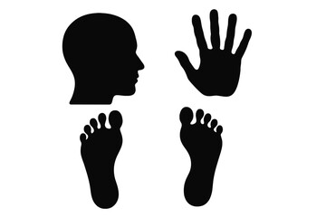 Aufkleber - Silhouette icon set featuring head, hand, and feet outlines for design projects