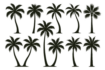Fototapete - Icon set of palm trees suitable for tropical and coastal themed designs
