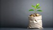 © Gibster - A plant growing from a bag of coins symbolizes financial growth and investment.