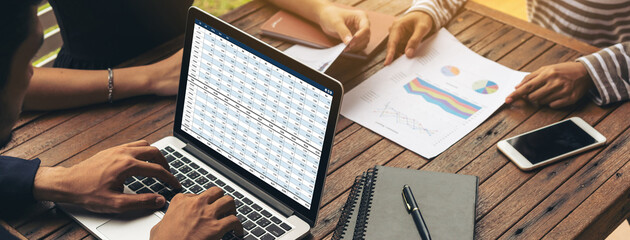 Wall Mural - accounting software on computer screen showing financial statement spreadsheets and account balance 
