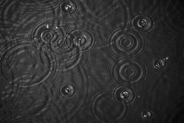 Wall Mural - black and white background rain pattern on the lake