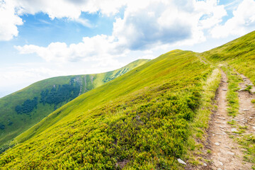 Wall Mural - path up the steep hill. scenic destination for tourism. travel background with carpathian mountain l