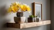 © Iurii - Neat Notocactus ottonis with yellow flowers on a minimalist floating shelf