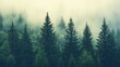 © Working Moments - Misty Retro Landscape Featuring a Fir Forest - Generative AI Art