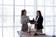 © David - Successful two female in formal suit insurance broker lawyer consult client on workplace  justice and lawyer Business partnership meeting concept.