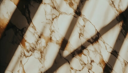 Macro nature texture beige brown abstract background