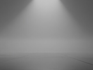 Canvas Print - minimalist gray studio backdrop with spotlight illuminating empty stage for product display or prese