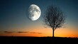 © Agri - Silhouetted tree and crescent moon at twilight.