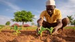 © innova - Farmer Plants Seedlings in A Field Under A Sunny Sky