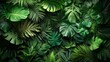 © Роксолана Гордієвич - Green tropical foliage with large leaves and plants, creating a feeling of nature and freshness. Suitable for interior design, packaging of eco-products or nature blogs.