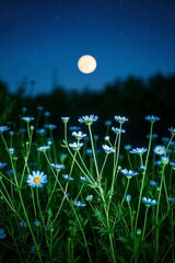 Wall Mural - a close up of a field of flowers with a full moon in the background