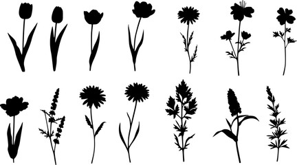 flowers, plants set silhouette isolated vector