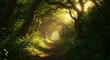 © Outkast - Sunlit path through ancient trees