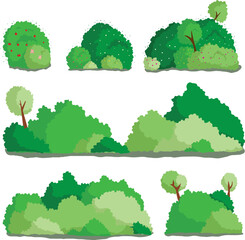  Collection of lush green bushes and shrubs for landscaping 