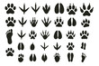 © Andrei - Collection of various animal tracks in black silhouette showcasing distinct paw, claw, and hoof prints