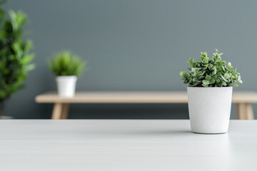 Poster - Small potted plant decorating a minimalist white desk in a modern office
