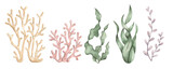Under the sea. Watercolor hand-drawn clip art with colorful corals and seaweed. Animals and plants of the underwater world. Sea-themed celebration. Cute cartoon elements for kids.