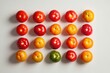 © jayantha - A flat lay showcasing a variety of colorful tomatoes, arranged in a grid pattern, with one green tomato standing out.